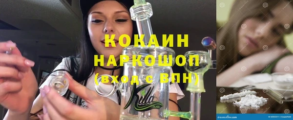 твердый Коряжма