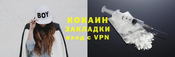 СК Краснослободск