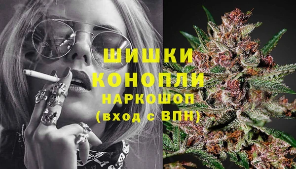 твердый Коряжма