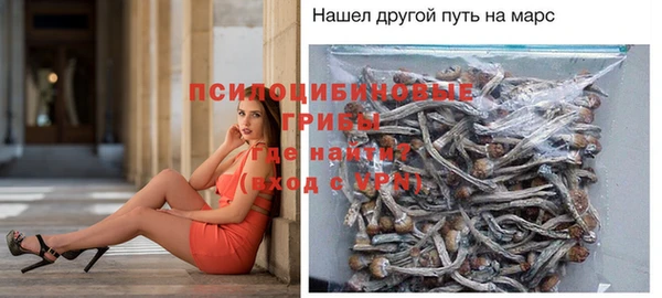 бошки Костерёво
