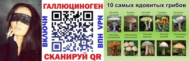 Галлюциногенные грибы Psilocybe  Мелеуз 